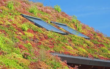 Lower Feltham living roof systems